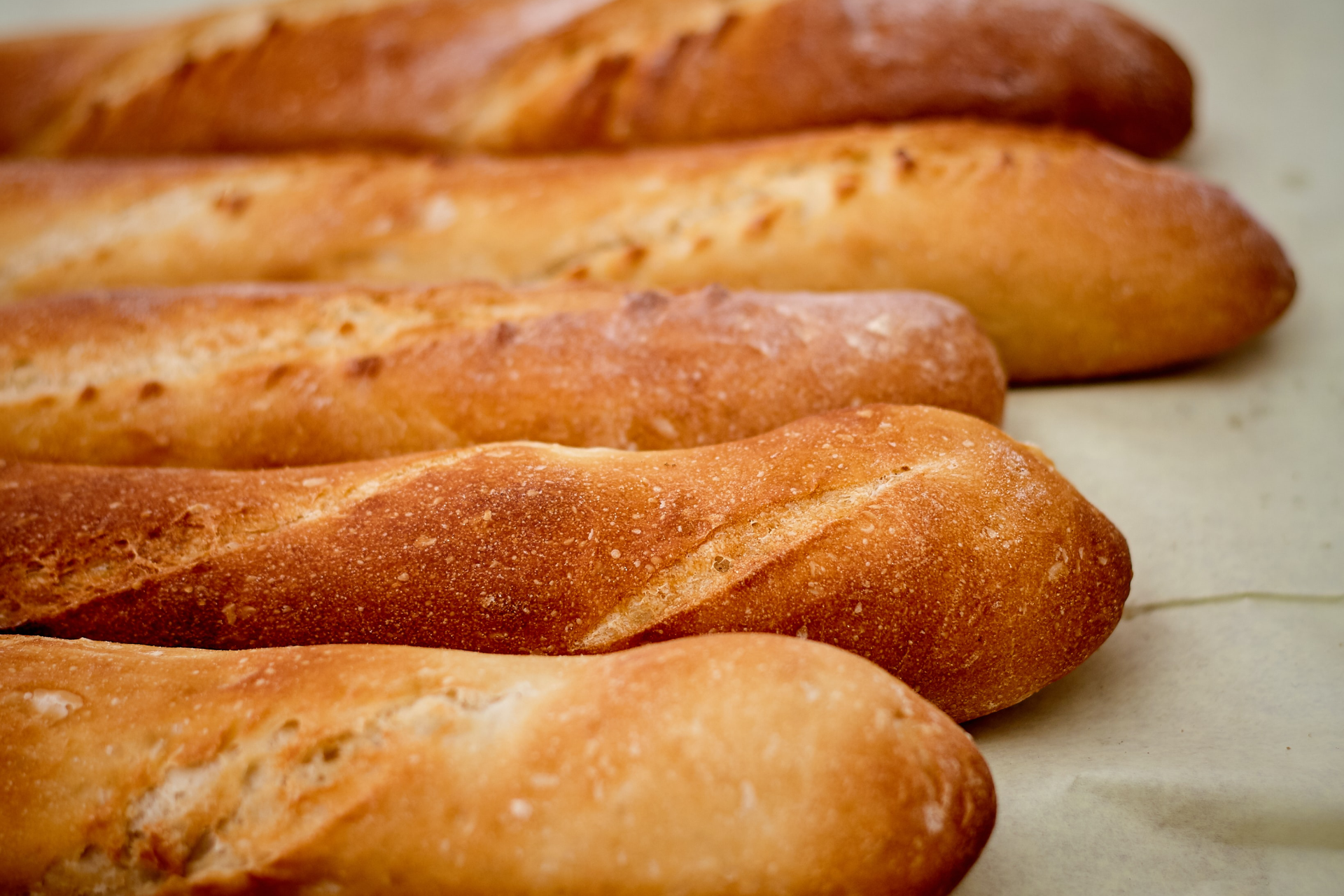picture of bread